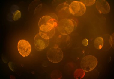 parlayan parlak bokeh toz parıltıları