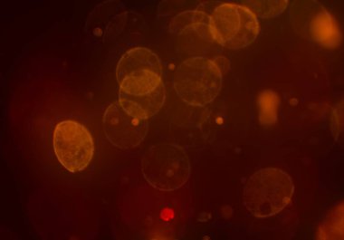 parlayan parlak bokeh toz parıltıları