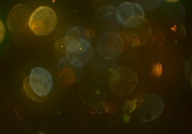 metin veya görüntü için alan ile bokeh arka plan