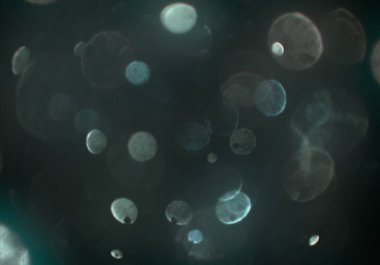 bokeh ışıkları ile soyut duvar kağıdı