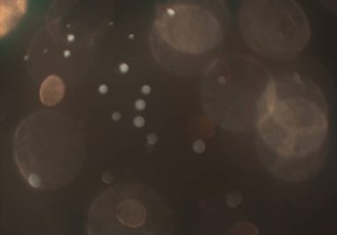 parlayan parlak bokeh toz parıltıları