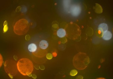 parlayan parlak bokeh toz parıltıları