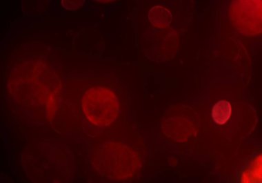 parlak bokeh ışıkları ile dijital duvar kağıdı 