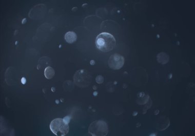 parlayan parlak bokeh toz parıltıları