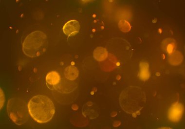 parlayan parlak bokeh toz parıltıları