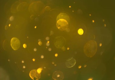 parlayan parlak bokeh toz parıltıları