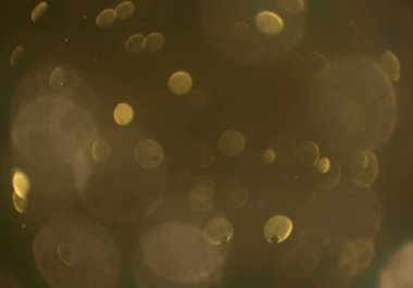 Tasarımınız için parlak bokeh arka plan