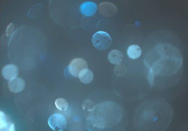 parlayan parlak bokeh toz parıltılar arka plan