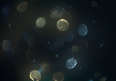 parlayan parlak bokeh toz parıltılar arka plan