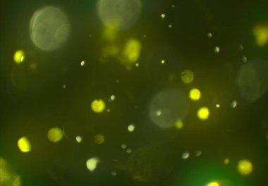 parlayan parlak bokeh toz parıltılar arka plan