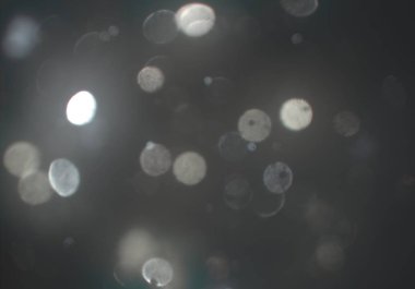 parlayan parlak bokeh toz parıltılar arka plan