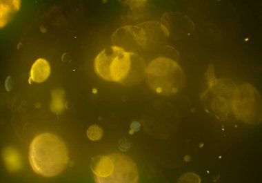 kopya alanı ile bokeh ışıkları dijital arka plan