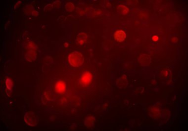 parlayan parlak bokeh toz parıltılar arka plan