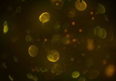 bokeh ve metin için alan ile soyut duvar kağıdı