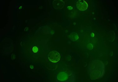 soyut arkaplan, kopyalama alanı