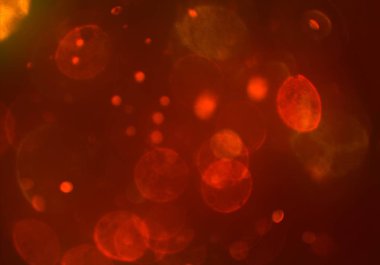 soyut parlayan parlak bokeh toz parıltılar arka plan