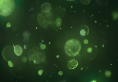 soyut arkaplan, kopyalama alanı