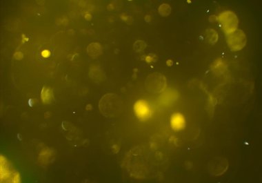 metin veya görüntü için alan ile bokeh arka plan