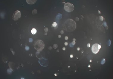 bokeh ve metin için alan ile soyut duvar kağıdı