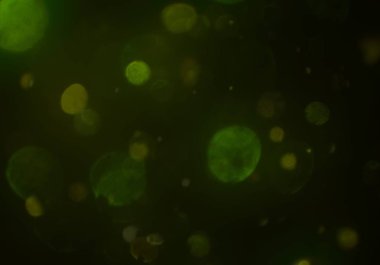 soyut parlayan parlak bokeh toz parıltılar arka plan