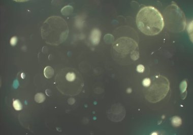 soyut arkaplan, kopyalama alanı