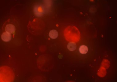 soyut parlayan parlak bokeh toz parıltılar arka plan