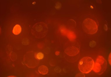 kopya alanı ile bokeh ışıkları dijital arka plan