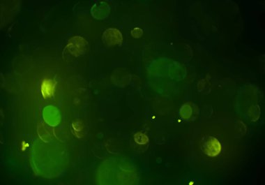 parlak bokeh ışıkları ile dijital duvar kağıdı 