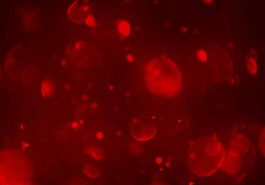 metin veya görüntü için alan ile bokeh arka plan