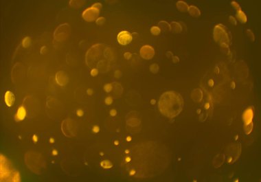 metin veya görüntü için alan ile bokeh arka plan