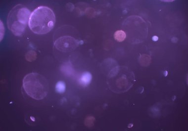 bokeh toz parıltılar arka plan