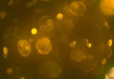 bokeh toz parıltılar arka plan