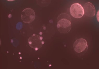 bokeh toz parıltılar arka plan