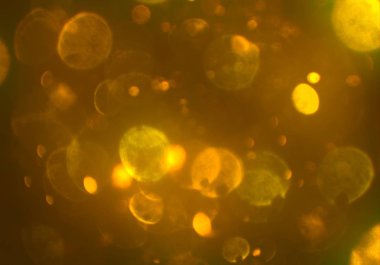 metin veya görüntü için alan ile bokeh arka plan