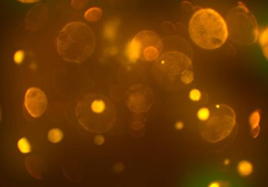 bokeh toz parıltılar arka plan