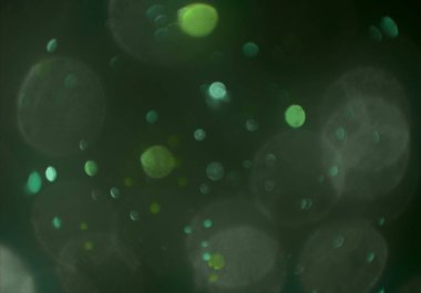 soyut arkaplan, kopyalama alanı