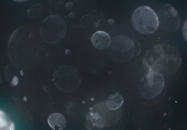 bokeh toz parıltılar arka plan