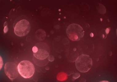 stardust bokeh toz parıltılar arka plan