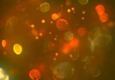 parlak bokeh ışıkları ile dijital duvar kağıdı 