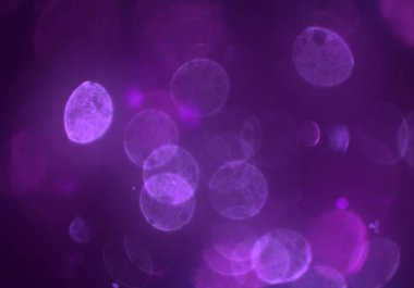 stardust bokeh toz parıltılar arka plan