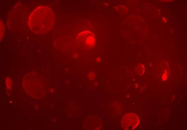 stardust bokeh toz parıltılar arka plan