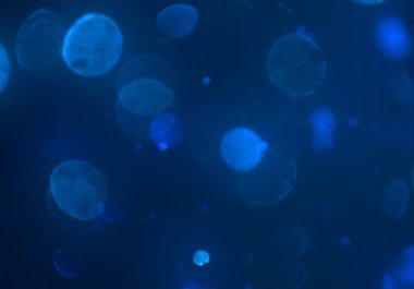 stardust bokeh toz parıltılar arka plan