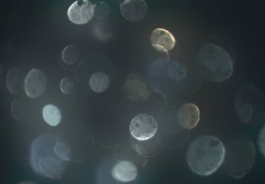 parlak bokeh ışıkları ile dijital duvar kağıdı 