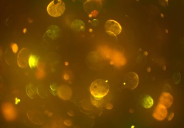 soyut arkaplan, kopyalama alanı