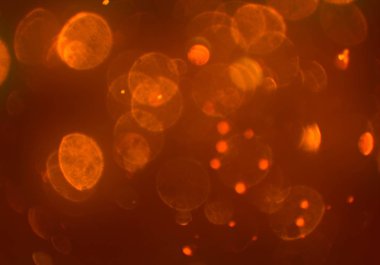 stardust bokeh toz parıltılar arka plan