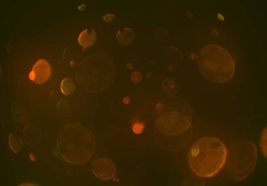 bokeh ve metin için alan ile soyut duvar kağıdı