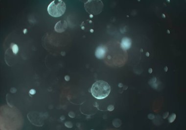 stardust bokeh toz parıltılar arka plan