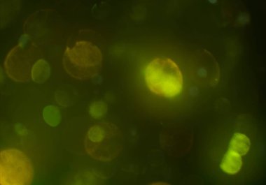 soyut arkaplan, kopyalama alanı