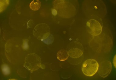 parlak bokeh ışıkları ile dijital duvar kağıdı 