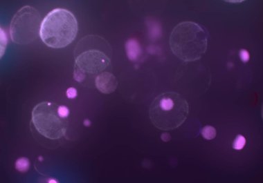 stardust bokeh toz parıltılar arka plan